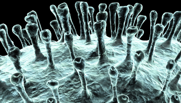Reempresa posa en marxa un espai amb informació d’interès sobre la crisi del coronavirus per a cedents i reemprenedors/es