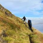 Com comprar o vendre una empresa en 5 passos